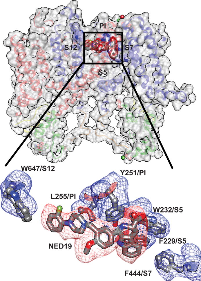 Figure 4