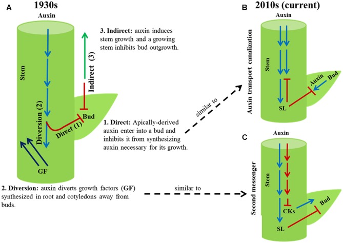 FIGURE 1