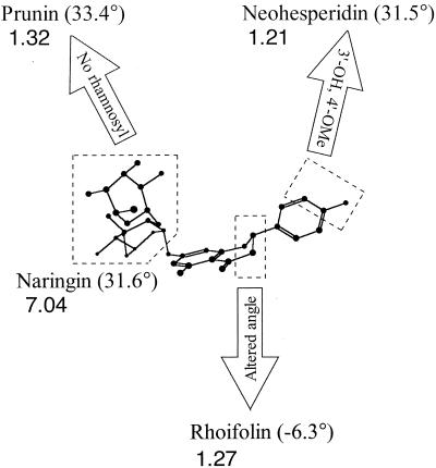 FIG. 3