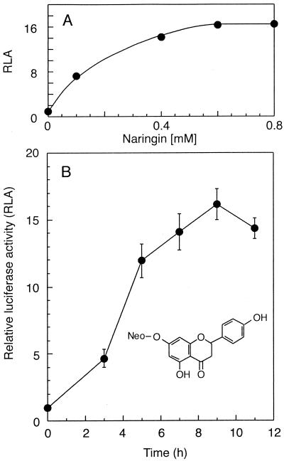 FIG. 1