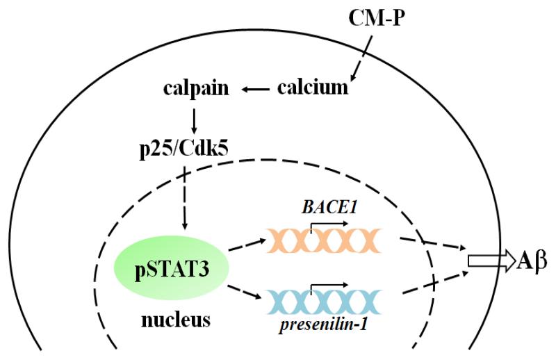 Figure 9