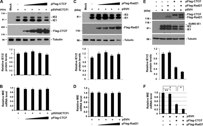 FIG 4