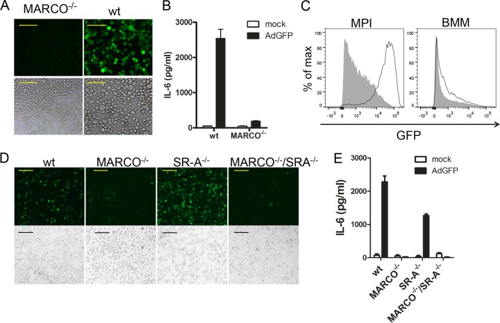 FIG 6 