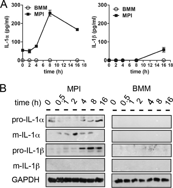 FIG 4 