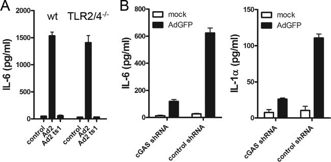 FIG 3 