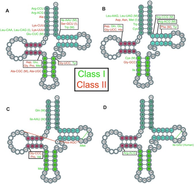 Figure 3.