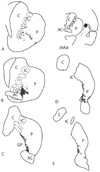Fig. 11