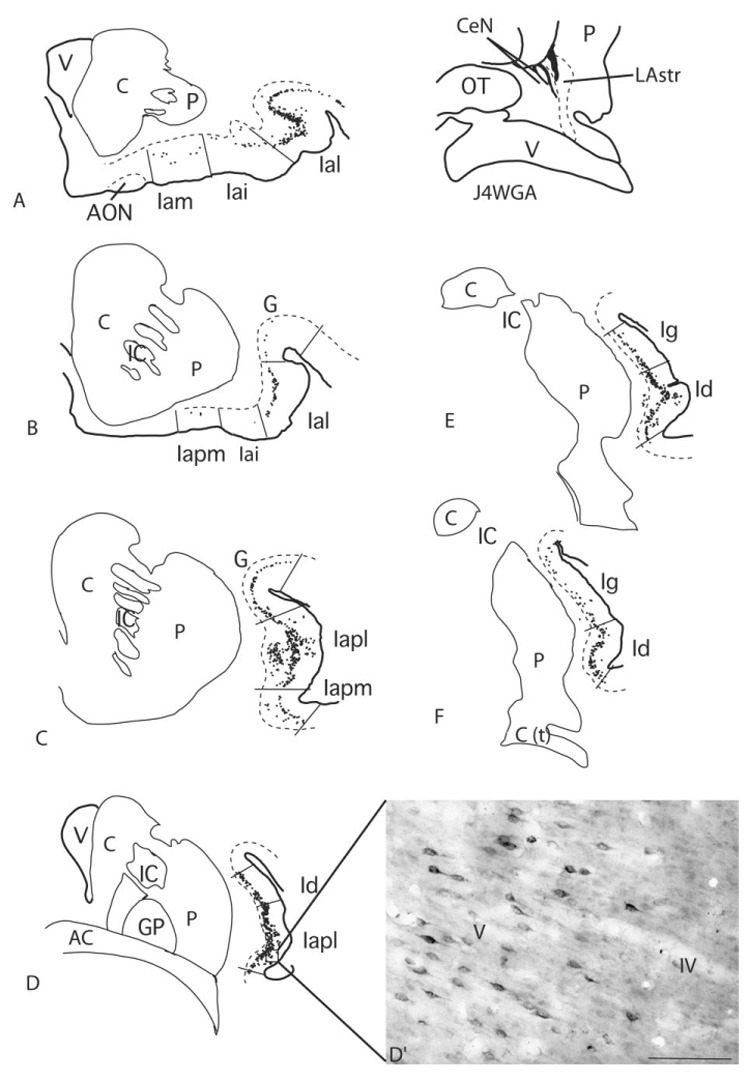 Fig. 7