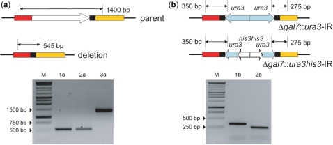 Figure 3.