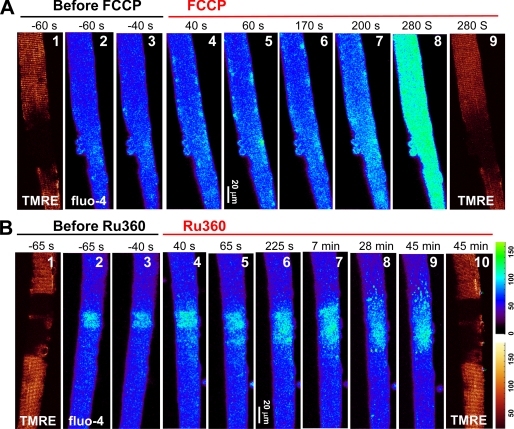 FIGURE 4.