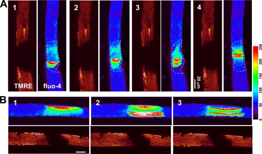 FIGURE 3.