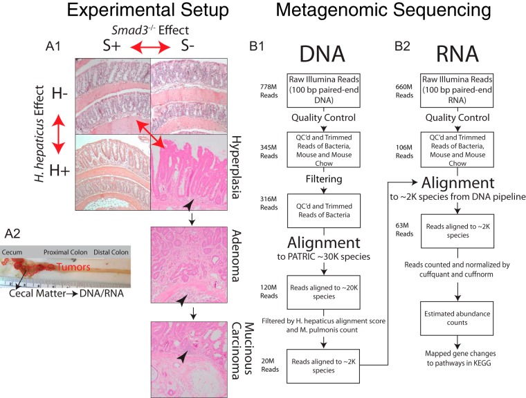 FIG 1 