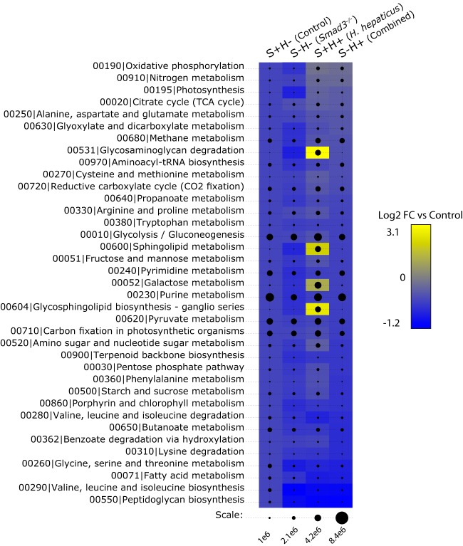 FIG 2 