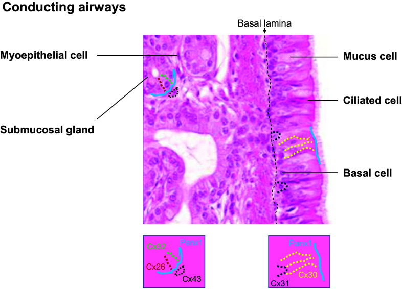 Fig. 1