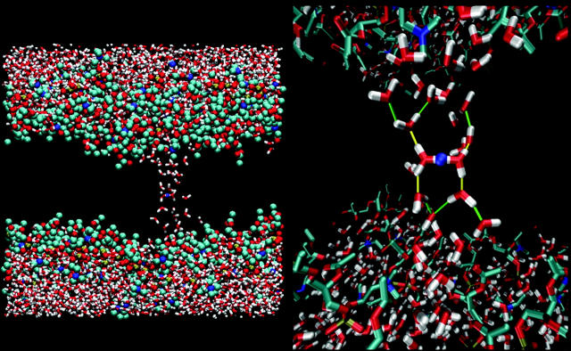 FIGURE 11