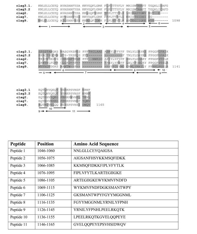 FIGURE 1