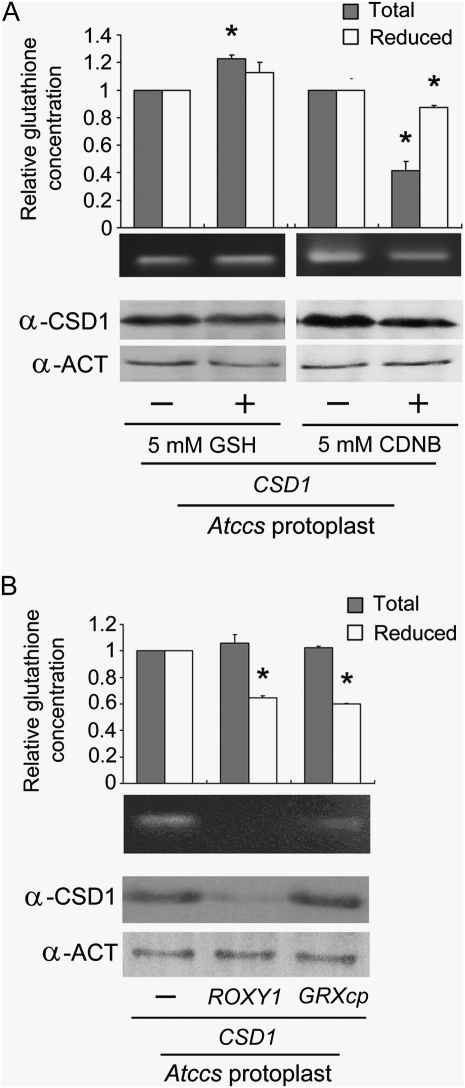 Figure 6.