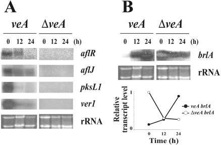 FIG. 5.