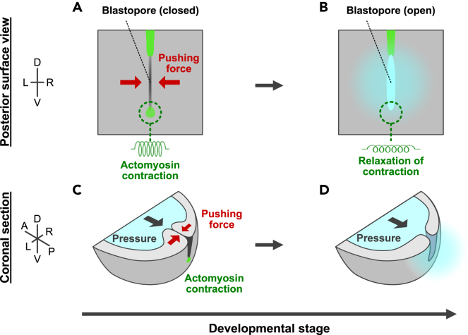 Figure 7