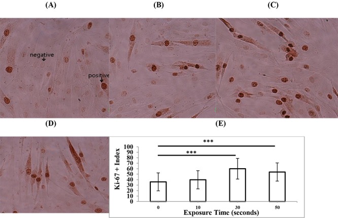 Figure5