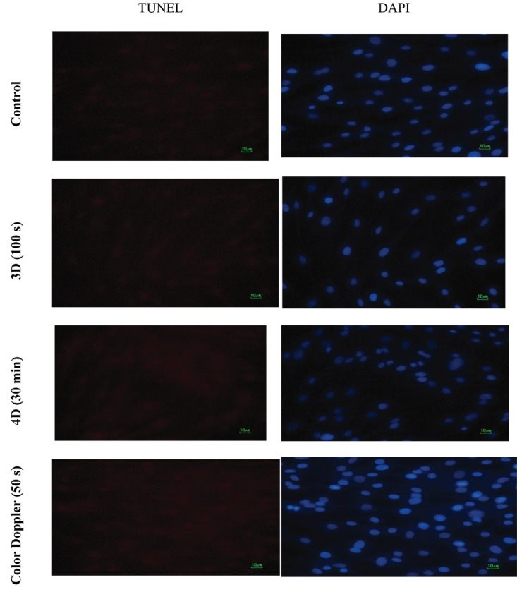 Figure6