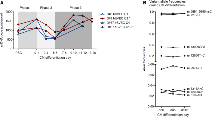 Figure 4