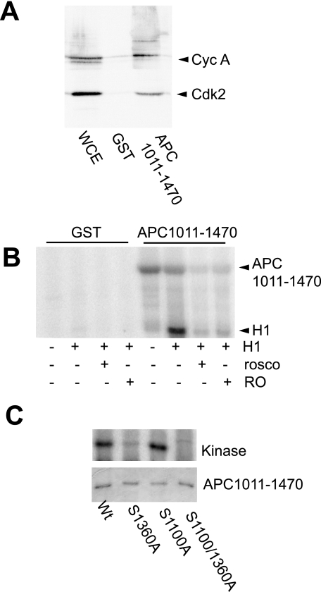 FIGURE 6.