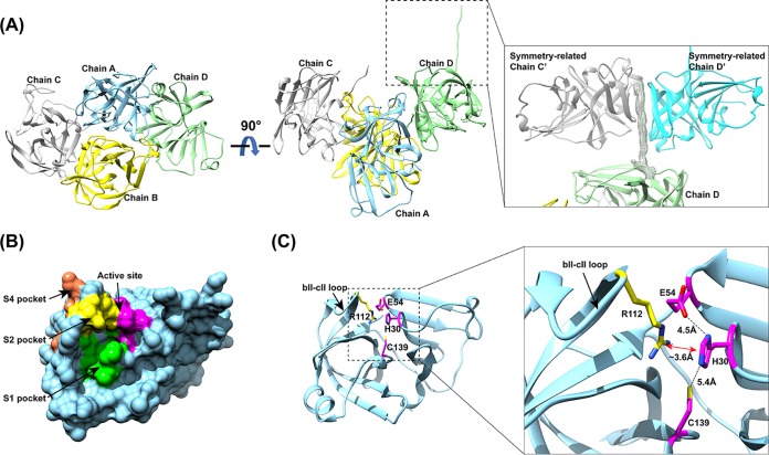 FIG 1