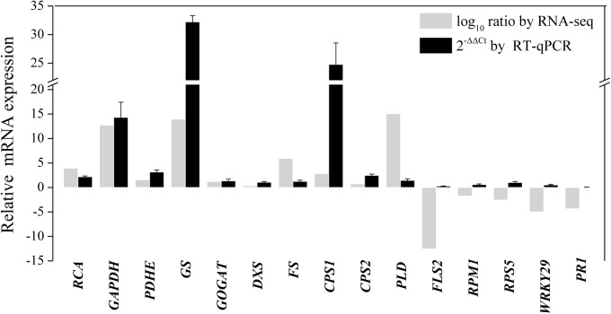 FIGURE 7