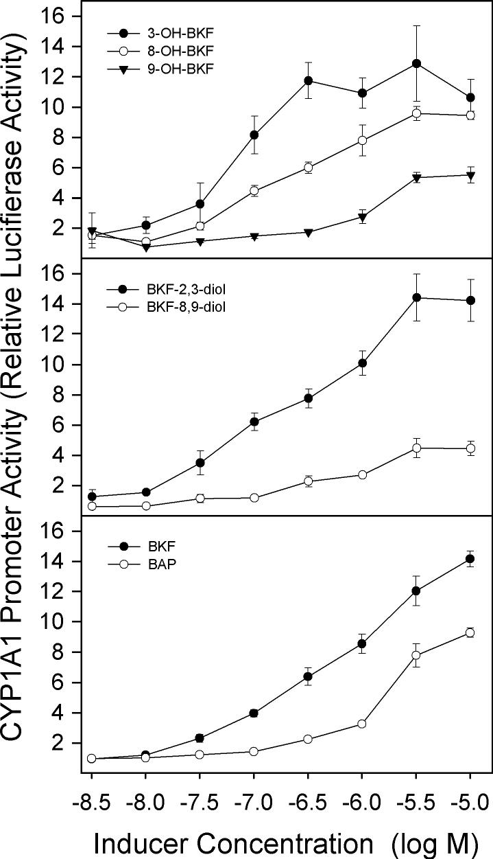 Fig. 11