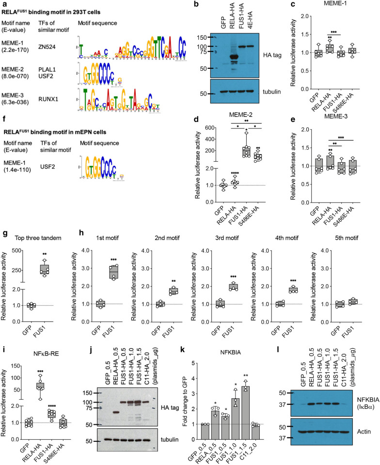 C11orf95-rela Fusion Drives Aberrant Gene Expression Through The Unique 