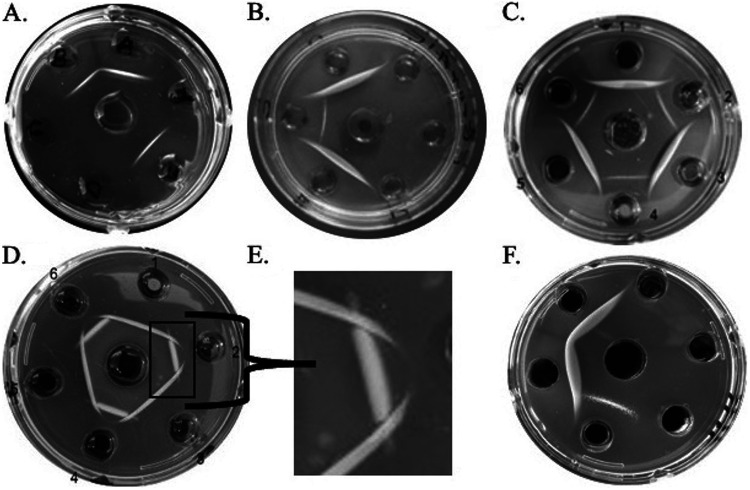 FIG 2