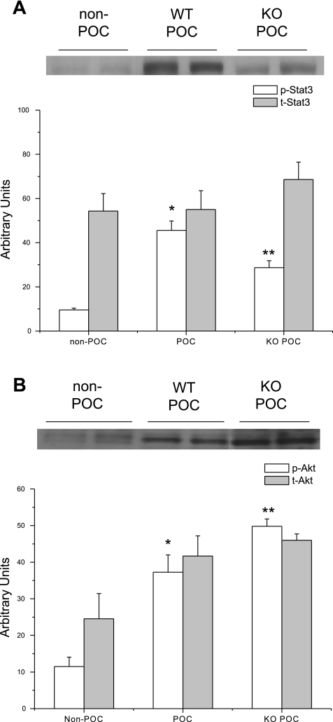 Fig. 9.