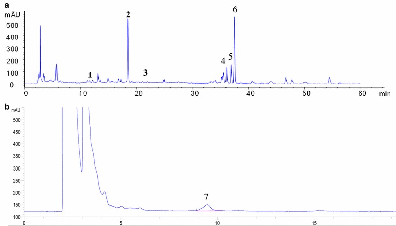 Fig. 1