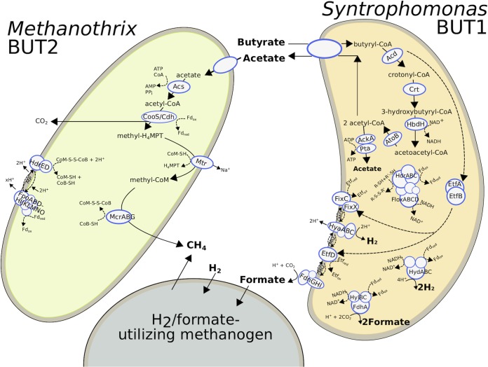 FIG 4