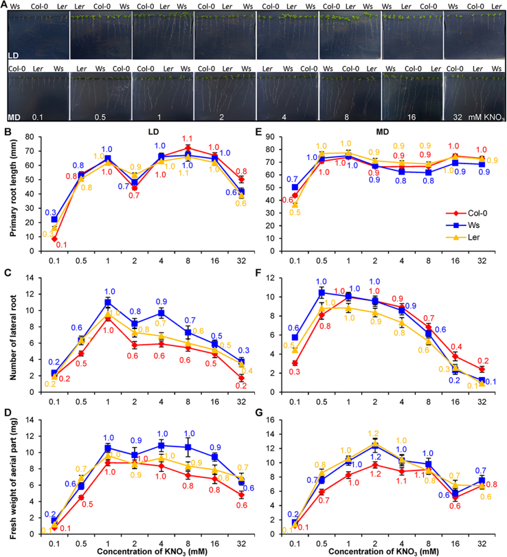 Fig. 2