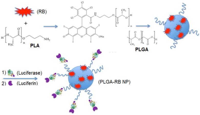 Figure 30