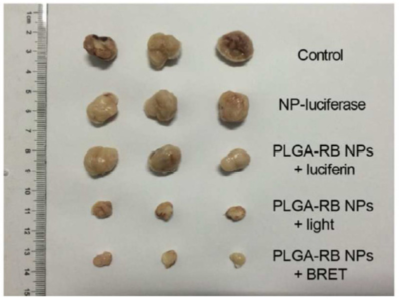 Figure 31