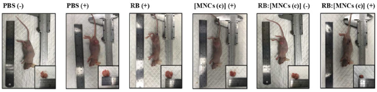 Figure 36