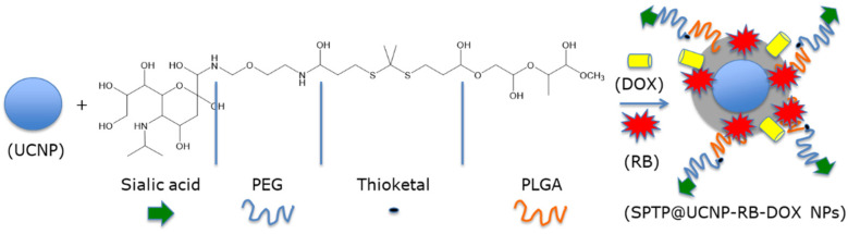 Figure 20