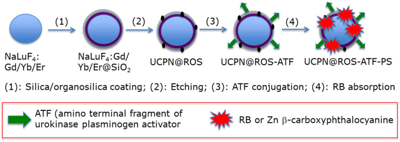 Figure 5