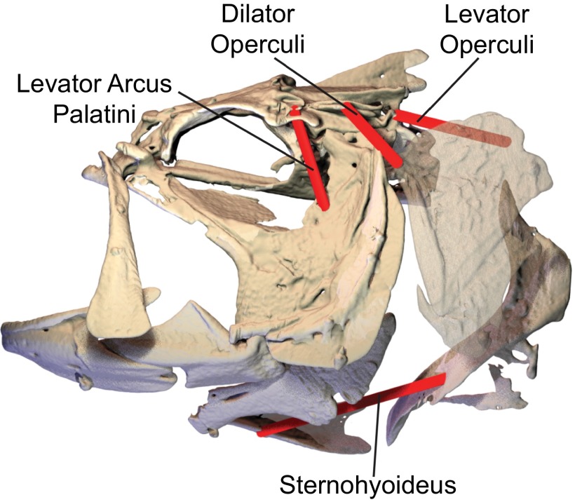 Fig. S1.