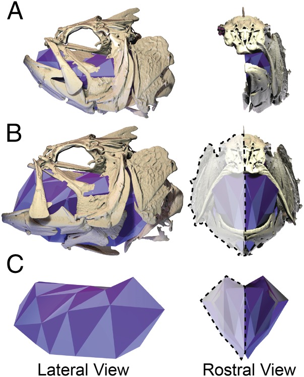 Fig. 2.