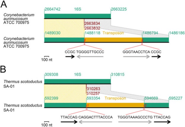 Fig. 8.