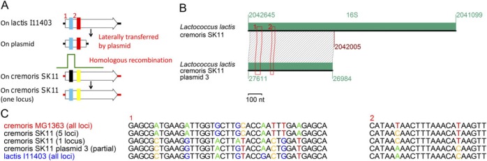 Fig. 7.