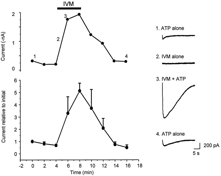 Fig. 6.