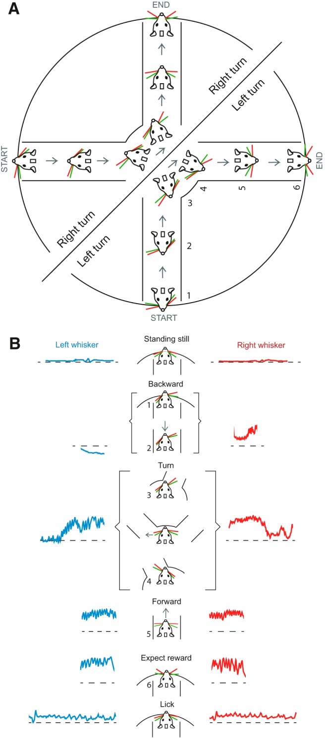 Figure 7.