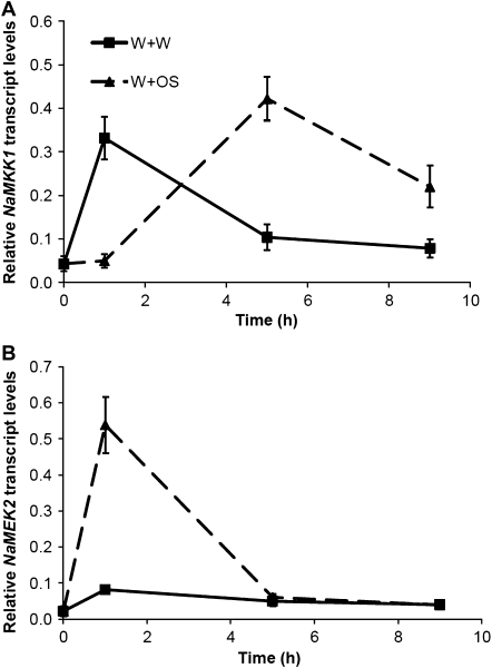 Fig. 2.