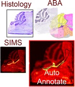 Graphical Abstract