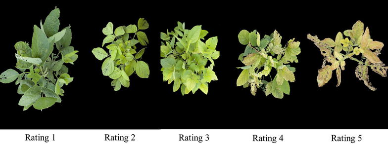 Fig. 2